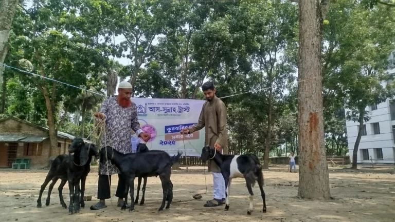 কুরবানি প্রকল্প
